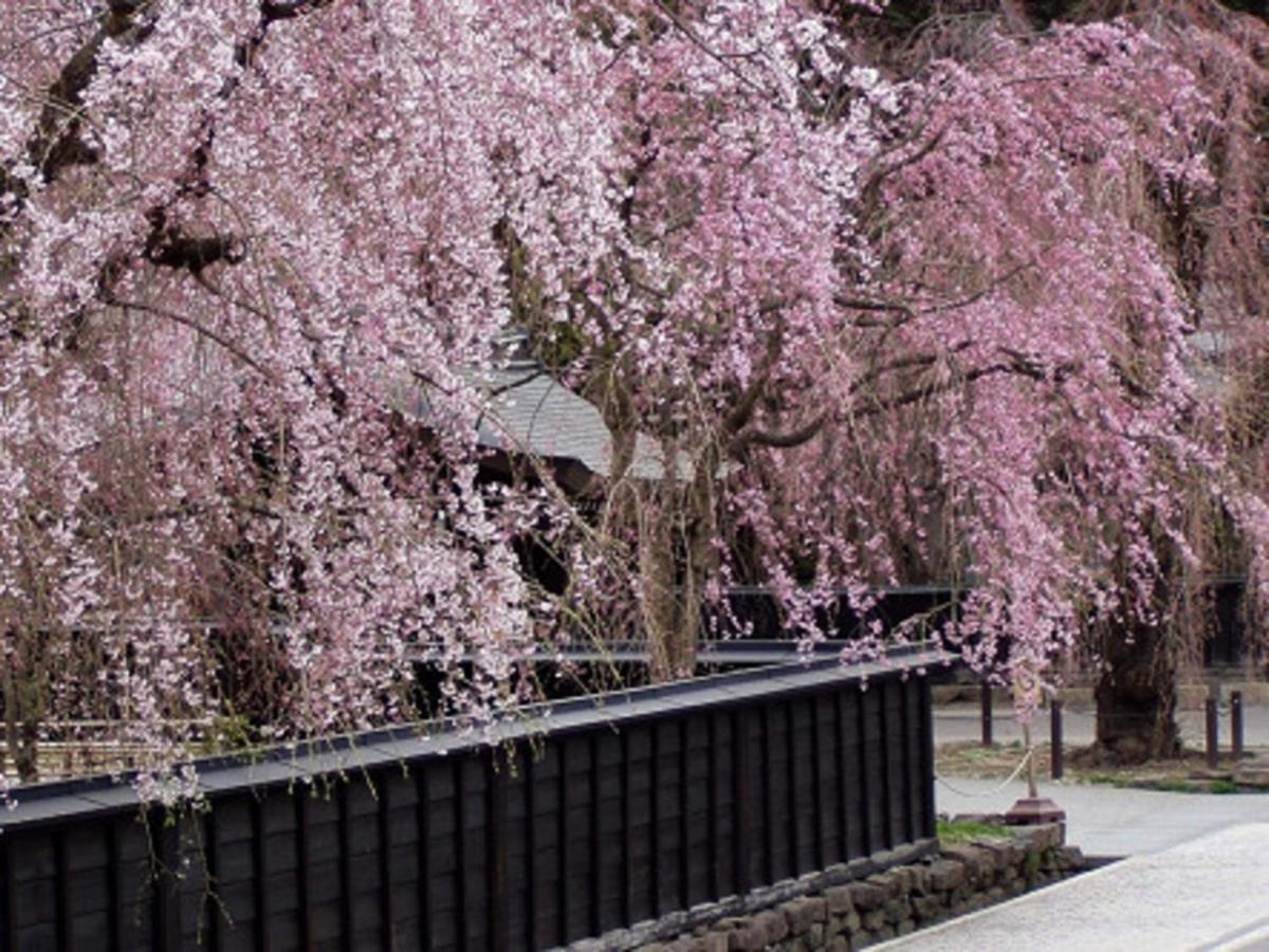 Tamachi Bukeyashiki Hotel - Vacation Stay 20163V Daisen  Eksteriør bilde
