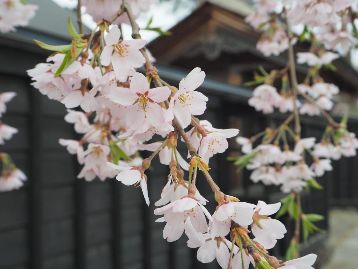 Tamachi Bukeyashiki Hotel - Vacation Stay 20163V Daisen  Eksteriør bilde